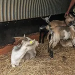 10 Person In * Spottrup