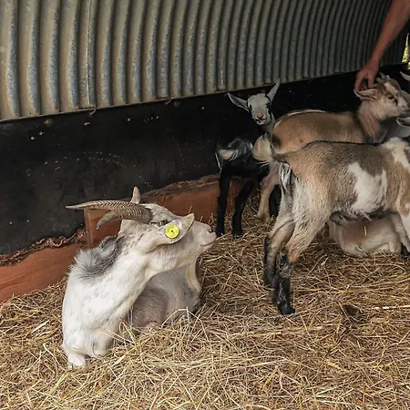 10 Person In * Spottrup