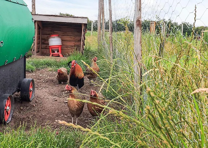 10 Person In Hébergement de vacances Spottrup