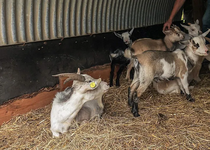 10 Person In * Spottrup