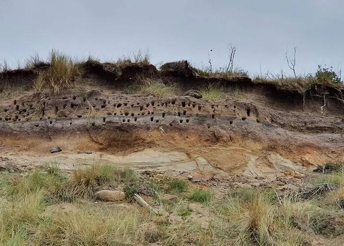 10 Person In Spottrup